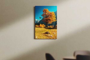 Platno - Jesenski macesen na Slemenu